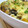 uronn's cooksnap of when they made アツアツ☆なすとじゃがいものグラタン.