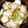 まゆえつ's cooksnap of when they made 白菜の漬物～生姜味～.