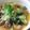 moco*moco's cooksnap of when they made 豚肉とチンゲン菜のさっぱりあんかけ.