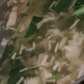 MULA's cooksnap of when they made ほうれん草とえのきのスープ.
