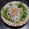 碧きりん's cooksnap of when they made 水菜とシラスのごま風味サラダ.