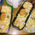 ma:9's cooksnap of when they made 残り野菜とハムの炒め物～お弁当に♪.