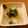 BiwacoJune's cooksnap of when they made イカとろろ.