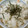はらぺこ青虫's cooksnap of when they made 簡単すぎる☆鮭ちらし寿司.