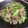 ちーろ５'s cooksnap of when they made 簡単☆激旨！豚肉とセロリの塩炒め.