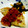 mr72's cooksnap of when they made 真鱈のムニエル♥.