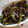 eoo3's cooksnap of when they made ししとうとじゃこの炒め煮.