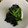 クックQ0QGCR☆'s cooksnap of when they made 5分でやみつき☆小松菜の海苔ごま和え.
