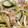 Rick_t's cooksnap of when they made 白だし・麺つゆで簡単！和風パスタ.