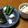ひーさん★'s cooksnap of when they made 野菜スティックと2種のディップ♫.