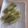 きらり流れ星's cooksnap of when they made ブロッコリー茎の漬物.