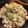 シオミィ's cooksnap of when they made OH！Ｔｈａｔ’Ｓ（雑）パッ！リゾット.