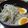 kumajirou's cooksnap of when they made レンジで簡単！もやしナムル.