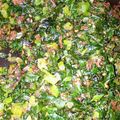 まいりいえみりい's cooksnap of when they made かぶの葉(大根の葉)のおかか昆布ふりかけ.
