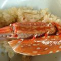 夜桜華's cooksnap of when they made プロ直伝！超簡単 ズワイ蟹の炊き込み御飯.