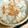 るらるらる's cooksnap of when they made 桜えびと里芋の炊き込みご飯.