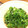 ricorico77's cooksnap of when they made ひと味違う♫ほうれん草のおひたし.