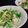 ＊とりこ＊'s cooksnap of when they made 水菜サラダ.