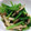 pin,k's cooksnap of when they made ❀しめじと小松菜の煮浸し❀.
