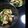 mina✬'s cooksnap of when they made ササミときゅうりの胡麻和え.