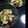 mina✬'s cooksnap of when they made ササミときゅうりの胡麻和え.