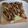 ソラねこ22's cooksnap of when they made ✿豚の生姜焼き　トースト✿.