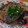くっくのん's cooksnap of when they made 鯖の竜田揚げ 大根おろし煮.