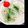 もちももこ's cooksnap of when they made 白菜でライスロール.
