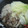 ovo@'s cooksnap of when they made 鶏ときのこのみそ仕立て鍋.