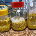 しちゅ's cooksnap of when they made 柚子シロップ(柚子茶).