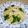 sawmill's cooksnap of when they made しらすの塩昆布マヨパスタ.