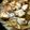 chieふ's cooksnap of when they made 絶品!!とろぉ～り半熟親子丼♪.