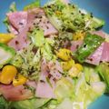 おいしけり's cooksnap of when they made 簡単コールスロー風♪.