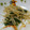 ★☆mary☆★'s cooksnap of when they made 簡単♪ほうれん草ともやしのバター炒め.