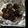 shoil's cooksnap of when they made 椎茸のシンプルグリル.
