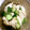 point52's cooksnap of when they made 簡単☆蒸し鶏と胡瓜の和え物.