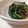 たつなん's cooksnap of when they made 小松菜とオイルサーディンのさっと煮.