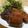 yappyパクパク's cooksnap of when they made 鯖の竜田揚げ.