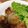 ゆんさぁ's cooksnap of when they made しゅうまい.