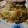 ムヒカ's cooksnap of when they made 白菜としめじの炒め物.