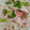 love385's cooksnap of when they made あと一品！大根の簡単マヨサラダ.