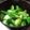 Yっぺ's cooksnap of when they made 昆布茶で簡単！浅漬け.