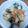 バウンド's cooksnap of when they made 白菜たっぷり焼きビーフン.