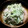はなさん1979's cooksnap of when they made ゴマたっぷりのキャベツの簡単白和え〜☆.
