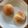 みるく茶's cooksnap of when they made シュガー✿トップ.