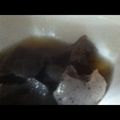 珍味佳肴's cooksnap of when they made ヘルシーこんにゃくの煮物.