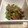 hana525's cooksnap of when they made 〜お弁当にﾊﾟﾊﾟｯとさつま揚げ〜.