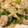 30misu's cooksnap of when they made こくうま！青椒肉絲.
