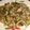 ねず吉's cooksnap of when they made ＊ゴーヤと豚肉の炒め物♪＊.