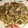 ねず吉's cooksnap of when they made ＊ゴーヤと豚肉の炒め物♪＊.
